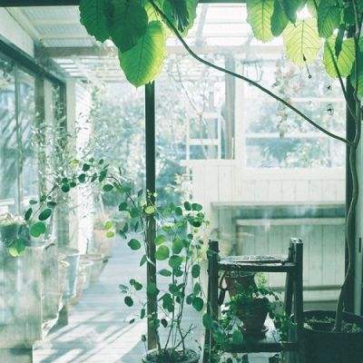 久游棋牌手机app下载